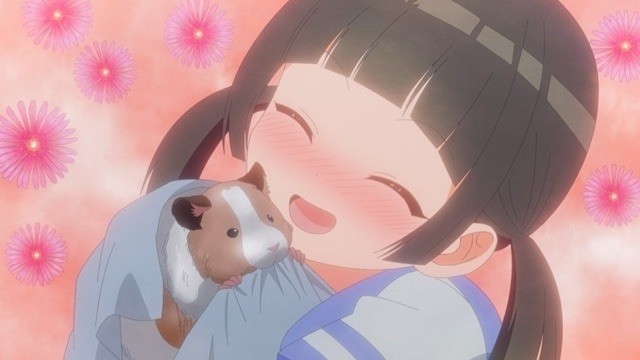 Watari-kun's ****** Is about to Collapse